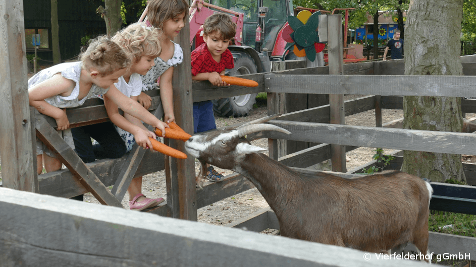Vierfelderhof – Der Berliner Kinder- & Familienbauernhof