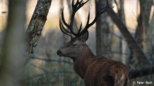 Naturpark Nuthe-Niepilz mit Wildgehege Glauer Tal & NaturParkZentrum