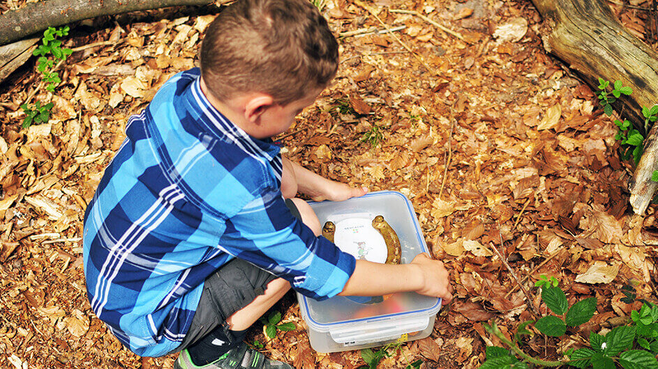 Ein Junge findet auf einer Schnitzeljagd im Wald eine Kiste - vielleicht der Schatz der Schnitzeljagd?