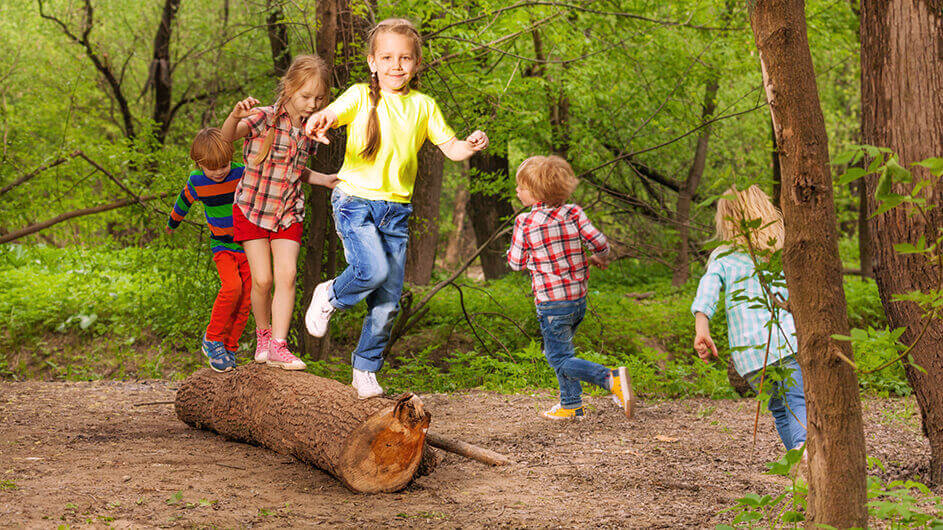 Eine Gruppe Kinder spielen im grünen Wald: Sie laufen und balancieren über einen Baumstamm.