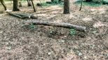 Waldspielplatz in der Suermondtstraße