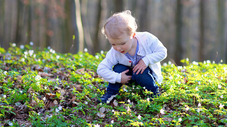Ein kleines Kind beobachtet im Wald die Buschwindröschen