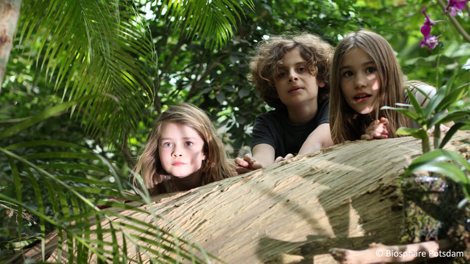 Kinder in der Biosphäre Potsdam: Sie beobachten im Tropenhaus gespannt ihre Umgebung.