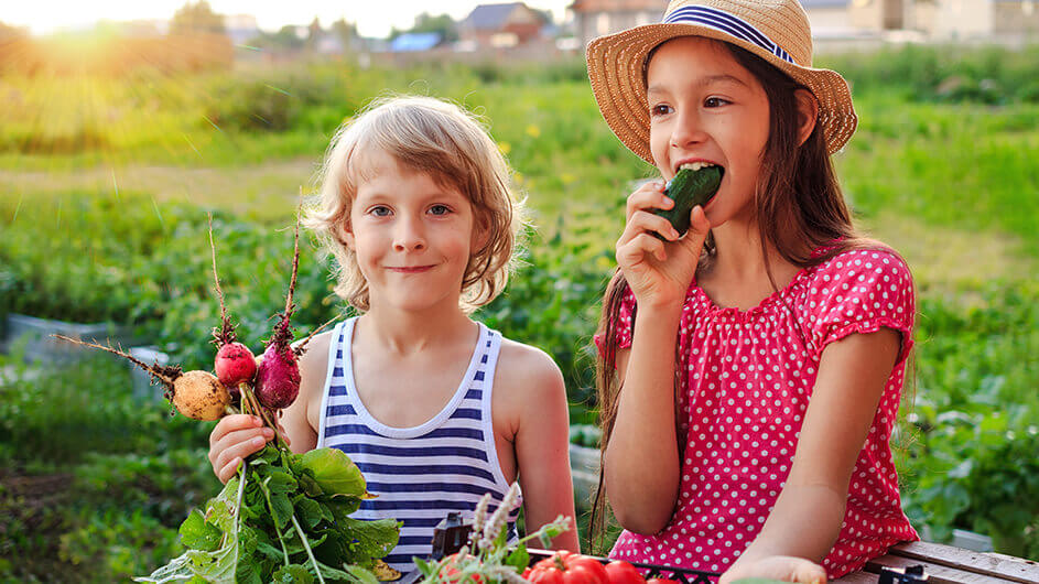 Zwei Kinder haben im Garten gemüse geerntet: Das eine Kind lächelt und hält Radieschen hoch. Das andere Kind beißt glücklich in eine Gurke.