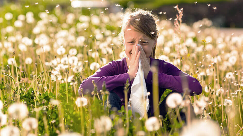 Ein Mädchen mit Heuschnupfen sitzt in ein Taschentuch niesend auf einer Wiese