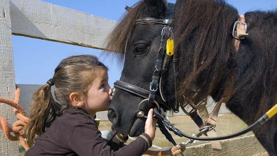 Ein kleines Mädchen küsst ein Pferd (Pony) auf die Nase